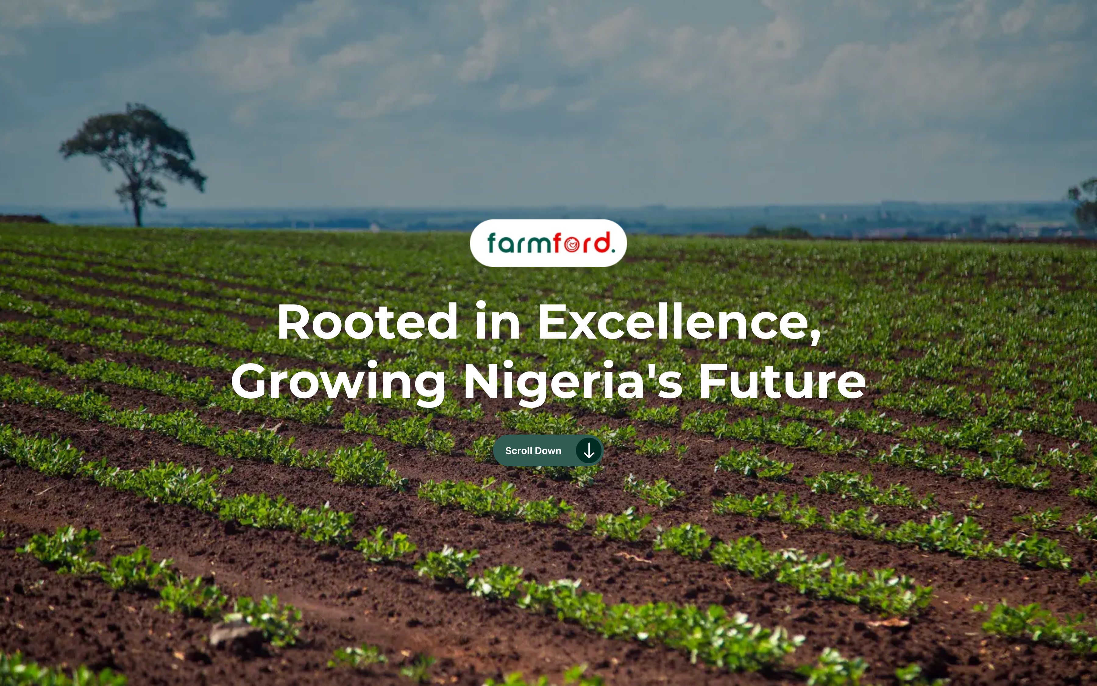 FARMFORD hero: “Rooted in Excellence, Growing Nigeria's Future” over a photo of young crop rows stretching to a lone tree on the horizon, with the farmford logo pill and a Scroll Down control.